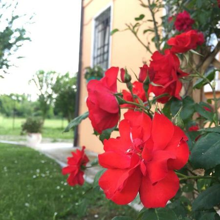 Il "Green " In Giardino Ferrara Luaran gambar