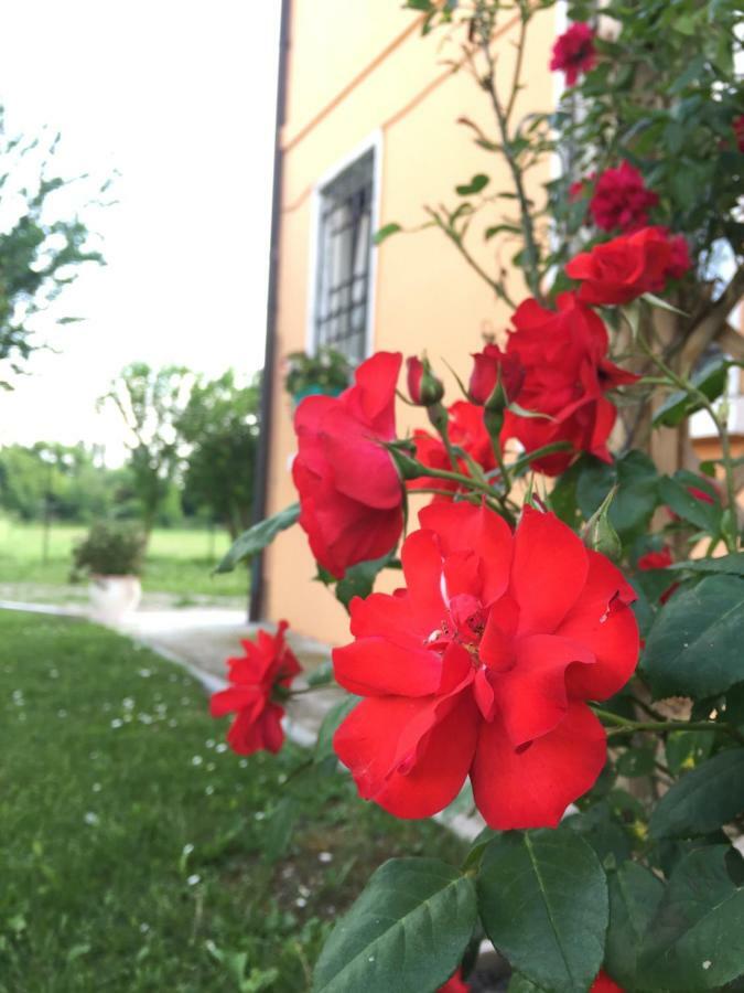 Il "Green " In Giardino Ferrara Luaran gambar