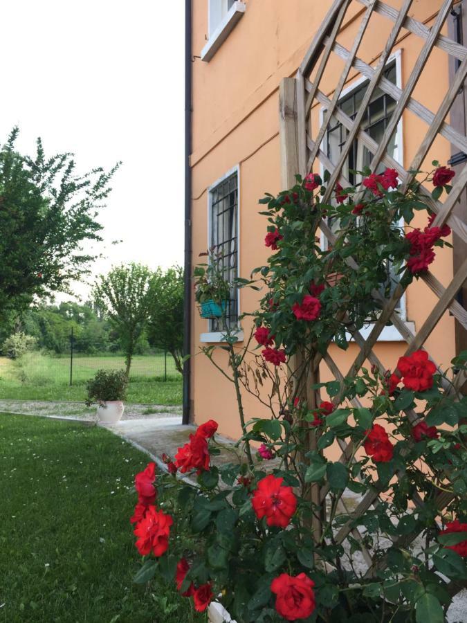 Il "Green " In Giardino Ferrara Luaran gambar